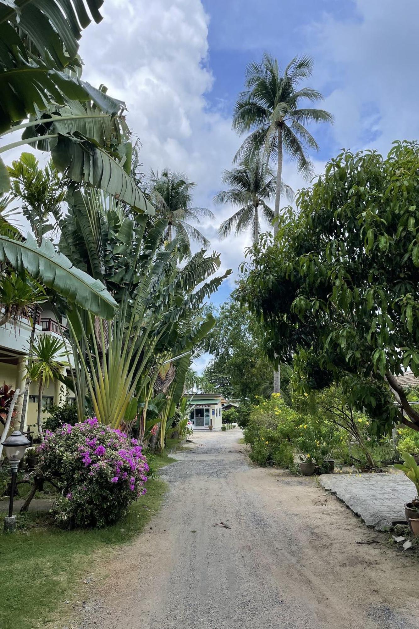 Seabreeze Bungalow Lamai Beach  Bagian luar foto